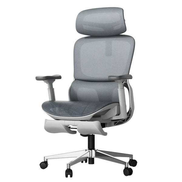 P2 Office Chair, Desk Chair with Adjustable Lumbar Support