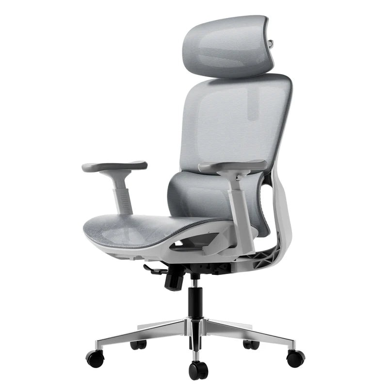P2 Office Chair, Desk Chair with Adjustable Lumbar Support